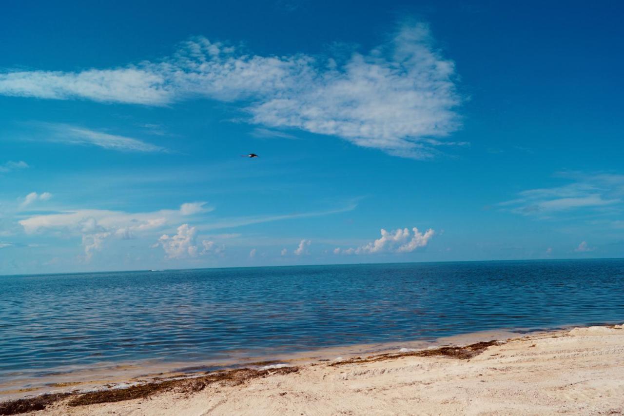 Deer Run On The Atlantic Bed & Breakfast Big Pine Key Eksteriør bilde